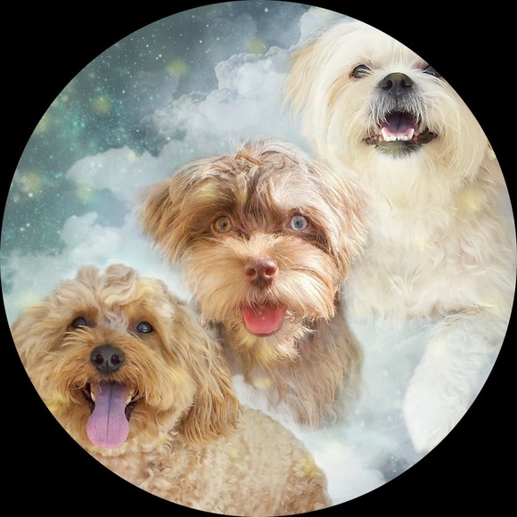 Alexis Gandelman - Poshmark Profile Picture of Alexis Gandelman (@superfids) on Poshmark