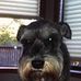Profile Picture of Chip Stapleton (@chip.stapleton.5) on Facebook