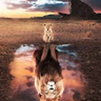 Profile Picture of Eddy Monroy (@eddy-monroy-3) on Quora