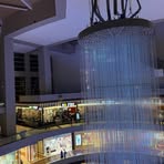 Profile Picture of Lily Paz (@Lily-Paz) on Facebook