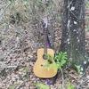 Profile Picture of Andrew Loveless (@@andrewloveless2) on Tiktok