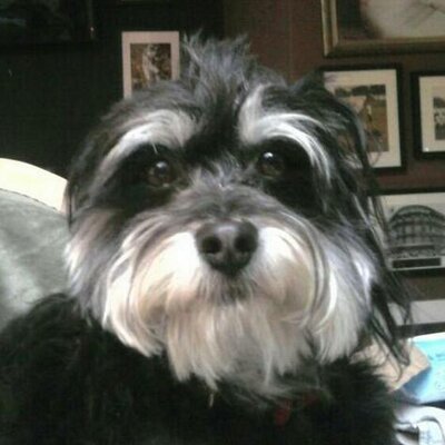 Profile Picture of Adam (@AdamEnos) on Twitter