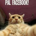 Profile Picture of Joel Lizardo (@coolcooloop) on Instagram