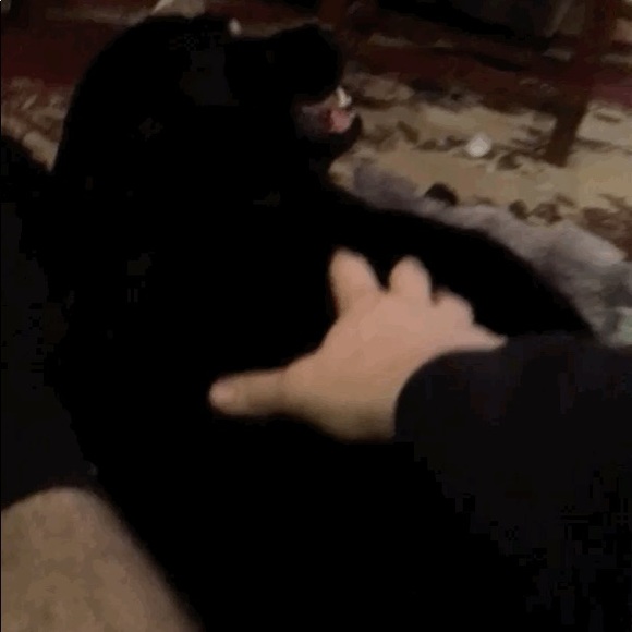 Profile Picture of James Caprio (@jcaprio1) on Poshmark