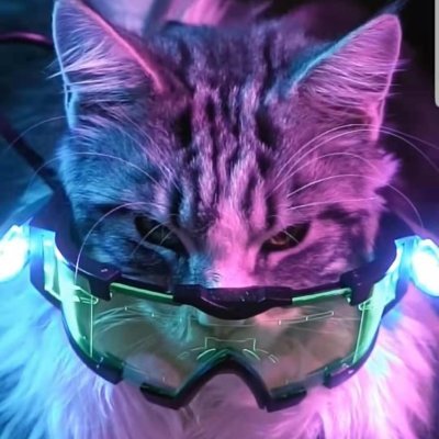 Profile Picture of WeiRong (@WeiRong71502504) on Twitter