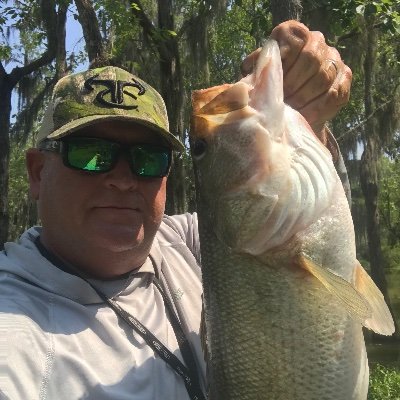 Profile Picture of David Goshorn (@DavidGoshorn7) on Twitter
