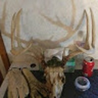 Profile Picture of Jason Sonya Baldwin (@jason-sonya-baldwin) on Quora