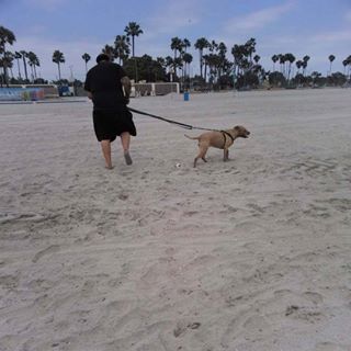 Profile Picture of Isaac Luevanos (@isaac.luevanos.3) on Facebook