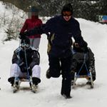 Profile Picture of Daniel Rentschler (@d.a.n_iel) on Instagram