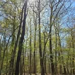 Profile Picture of Stacy Charles (@Stacy-Charles) on Facebook