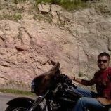 Profile Picture of Jason McDonald (@mcdonald241) on Pinterest