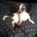 Profile Picture of linda warren ahner (@nrahner) on Instagram
