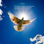 Profile Picture of Peter Brown (@peterbrown8767) on Youtube