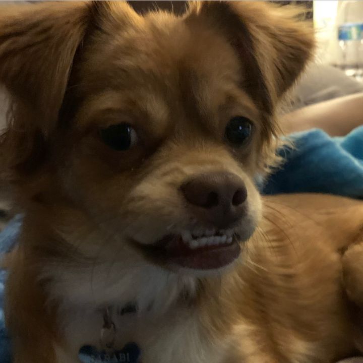 Profile Picture of Eduardo (@briangutie) on Tiktok