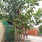 Profile Picture of Myo win thu (@myowin_thu) on Instagram