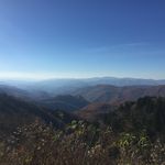 Profile Picture of William Mountcastle (@mountcastle.media) on Instagram