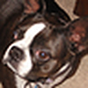 Profile Picture of Carolyn Stein (@Carolyn Stein) on Flickr