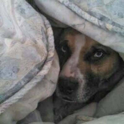 Profile Picture of Nancy MacPhee (@macphee_nancy) on Twitter