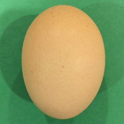 Profile Picture of Eric Berger (@teachwithcode) on Twitter