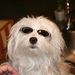 Profile Picture of Kevin McKinley (@kdmckinley3066) on Pinterest
