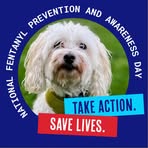 Profile Picture of Laura Hakes Bailey (@Laura-Hakes-Bailey) on Facebook