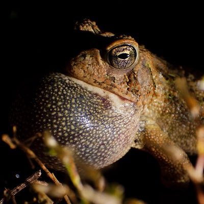 Profile Picture of Paul Hadfield (@pawleewurx) on Twitter