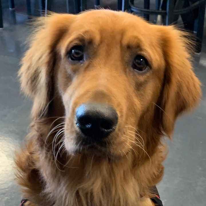 Profile Picture of Donna Mosser (@@mosser6530) on Tiktok