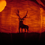 Profile Picture of Derek Kimball (@whedbee) on Flickr