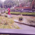 Profile Picture of 陳孜佳 (@chen.zijia) on Instagram