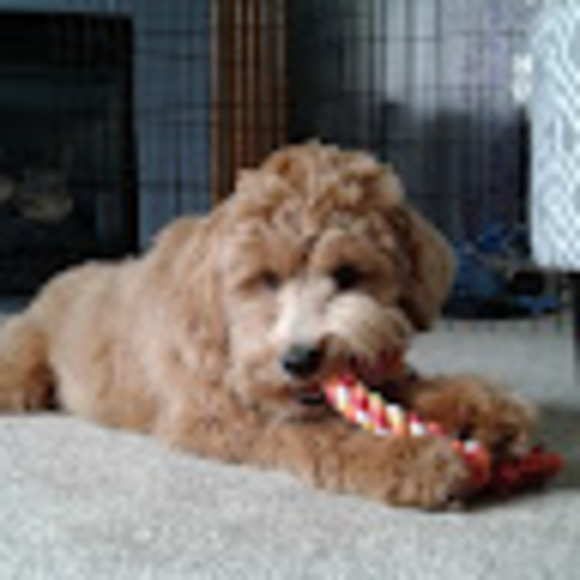 Bryson Phillips - Poshmark Profile Picture of Bryson Phillips (@brysonphilli683) on Poshmark