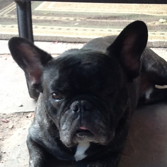 Profile Picture of Rachel Mustoe (@rachelammustoe) on Poshmark