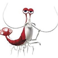 Profile Picture of David Wade (@david-wade-81) on Quora