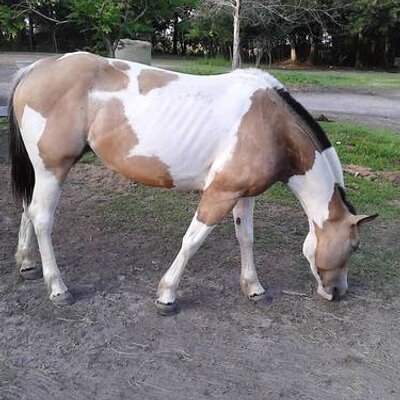 Profile Picture of Don Juan Mccray (@lashaymccray93) on Twitter