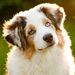 Profile Picture of Allison Pfeffer (@allisonpfeffer321) on Pinterest