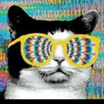 Profile Picture of Alfonso Moya (@fonsimoya) on Instagram