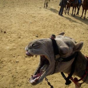 Profile Picture of Amanda Fulmer (@memander) on Myspace