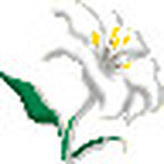 Whitney Luetkemeyer - Flickr Profile Picture of Whitney Luetkemeyer (@wtny5) on Flickr