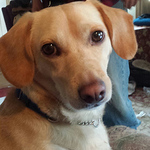 Profile Picture of Doug Taylor (@rolyatad) on Flickr