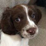 Profile Picture of Brady O’Grady- Schneider (@brady.ogrady) on Instagram