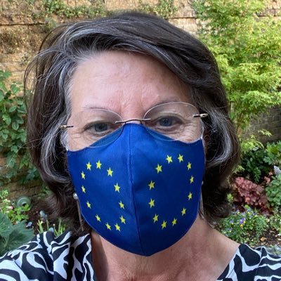 Profile Picture of Catherine Bearder-former MEP🔶🕷 (@CathyFerron) on Twitter