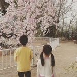 Profile Picture of Mari Takagi (@tkg_mari) on Instagram