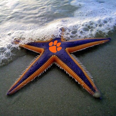 Profile Picture of Mark Scott (@mark_89tiger) on Twitter