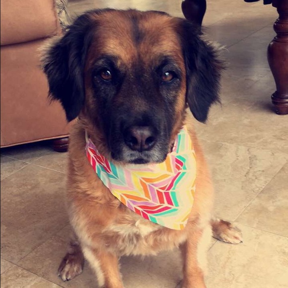 Profile Picture of Tianna Stamas (@tianna_stamas) on Poshmark