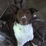 Profile Picture of Kevin Wildeson (@kevinwildeson) on Instagram