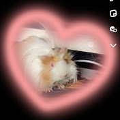 Profile Picture of Aleida Ramos (@aleidaramos8725) on Youtube