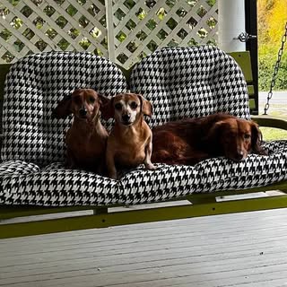 Profile Picture of Greta Shewmaker Chamberlain (@g.chamberlain) on Instagram