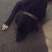 Profile Picture of Erik Raven Schulz (@erikravenschulz625) on Youtube