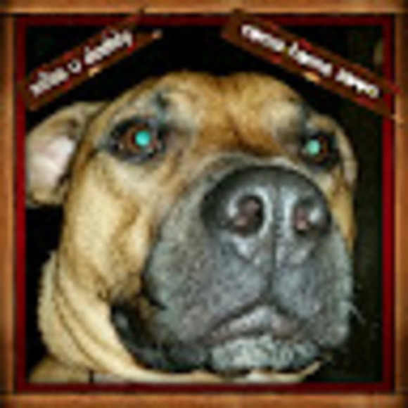 Profile Picture of Paul Goodman (@gmanjeep) on Poshmark