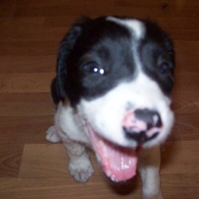 Profile Picture of James Freaney (@JamesFreaney) on Twitter