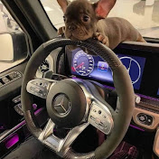 Profile Picture of Freddie Casulla (@FreddieCasulla-qp8wc) on Youtube